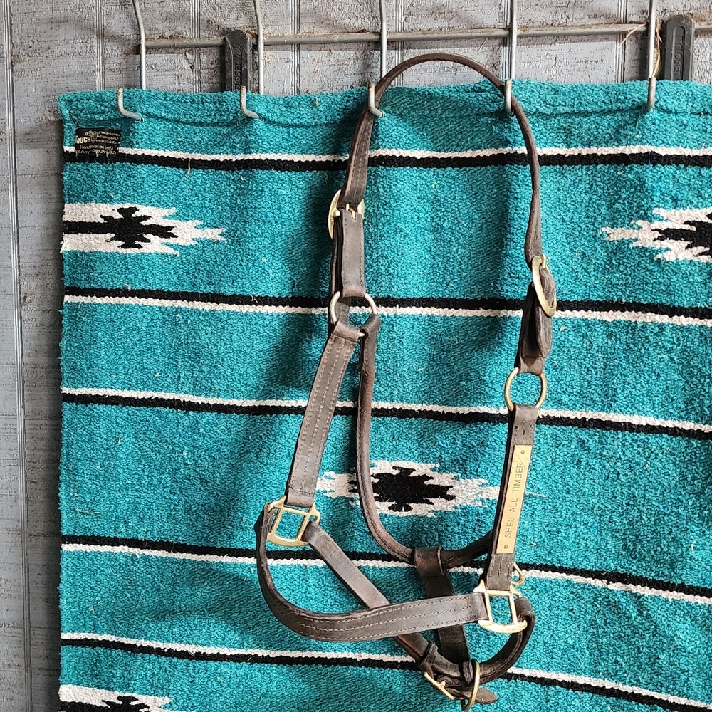 Leather Horse Sales Halter